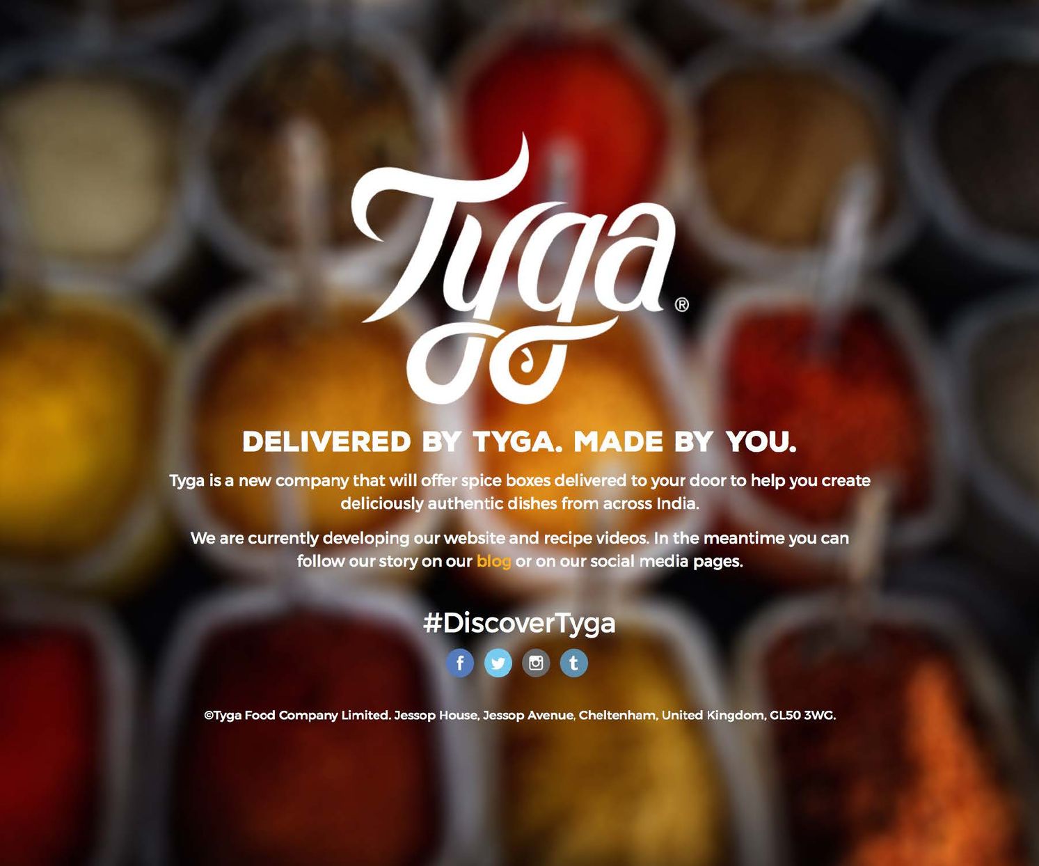 Tyga Landing Page